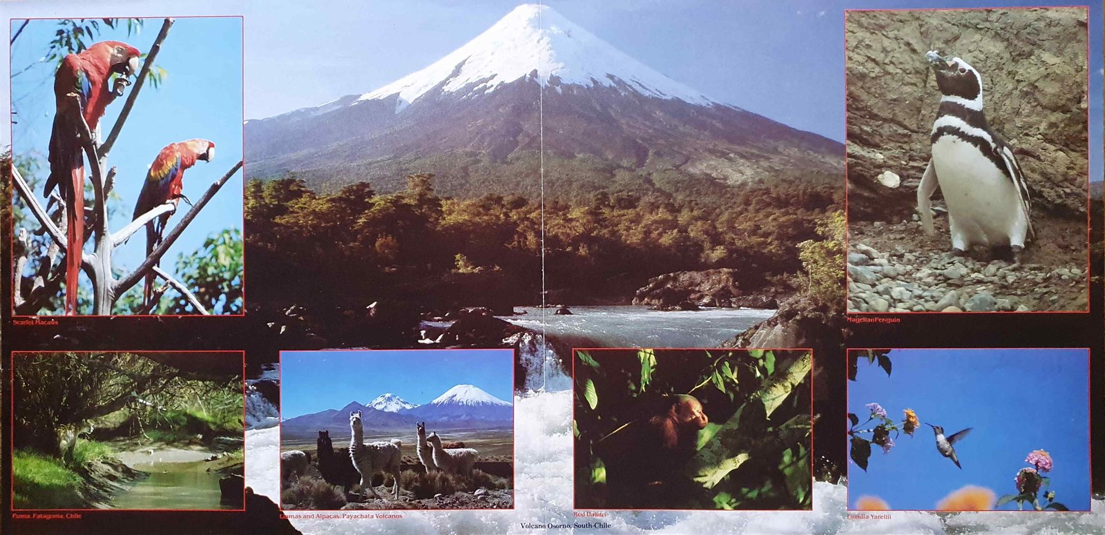 Inserts from BBC - 22440